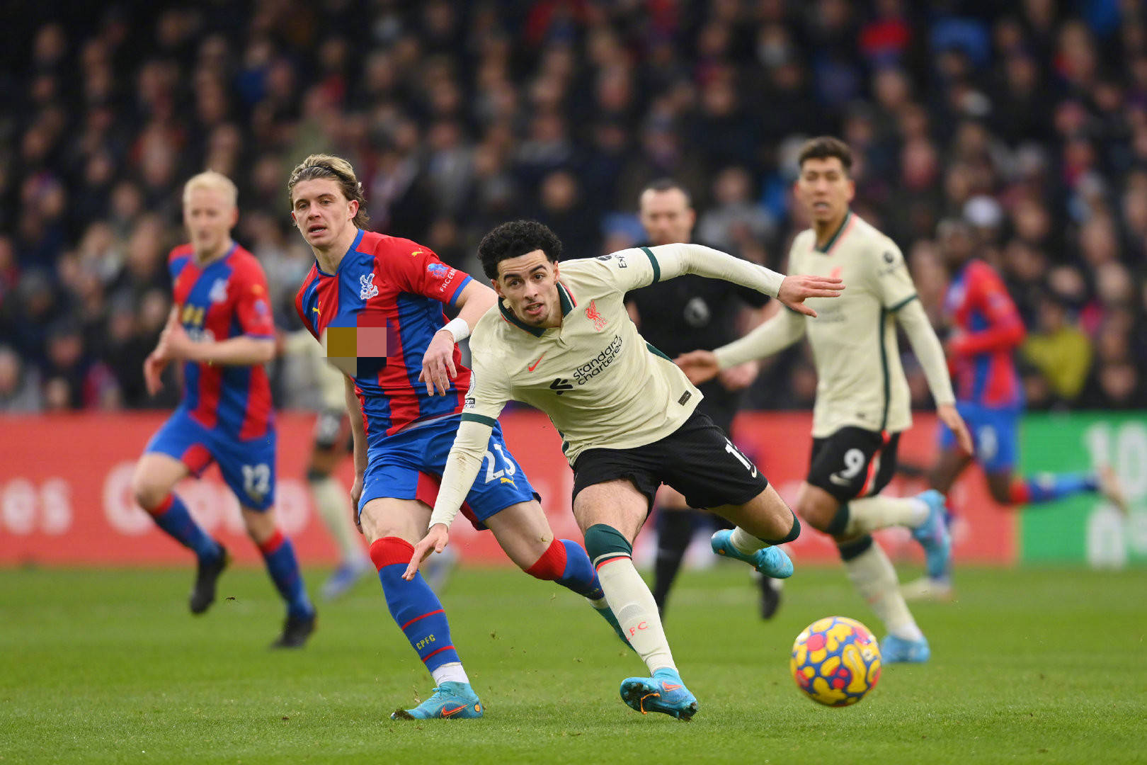 波切蒂诺的 波切蒂诺的